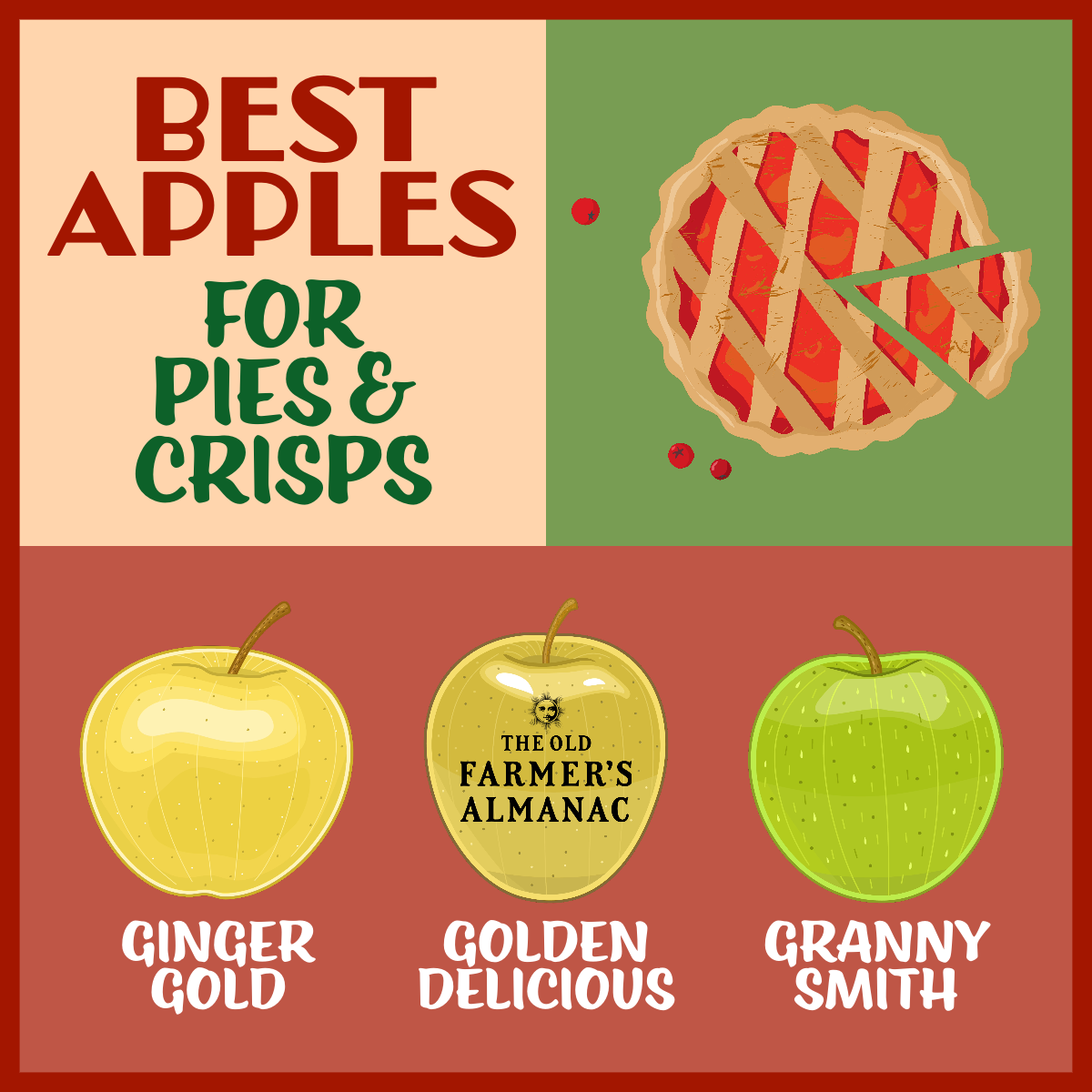 Best Apples for Baking Apple Pie Crisp Applesauce Cider The